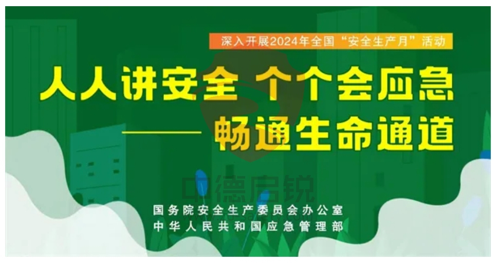 创新驱动，中德启锐2024年度荣耀时刻，辉煌新篇章！